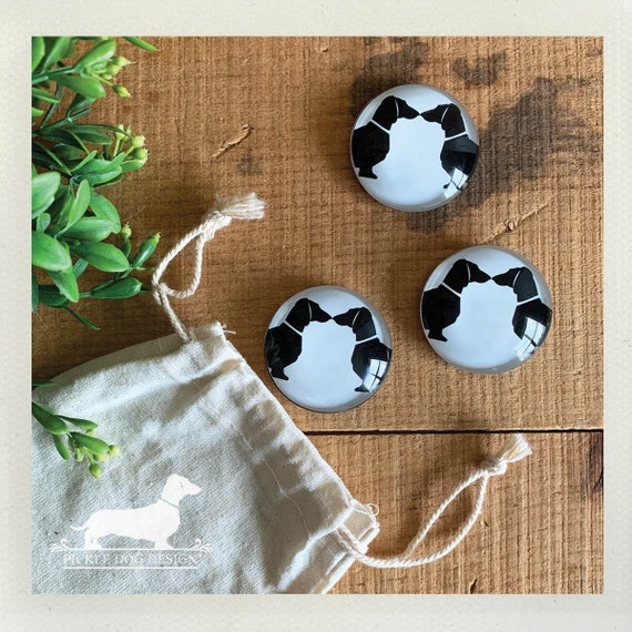Doxie Love. Glass Magnets (Set of 3)