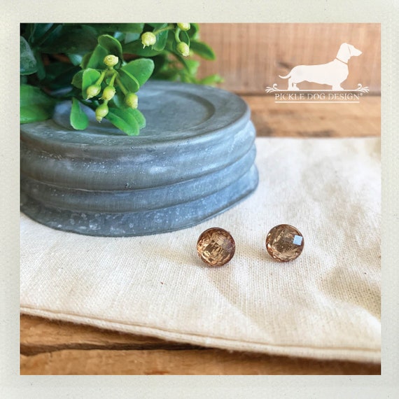DOLLAR DEAL! Cappuccino. Post Earrings