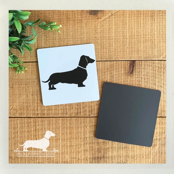 Square Doxie. Magnet
