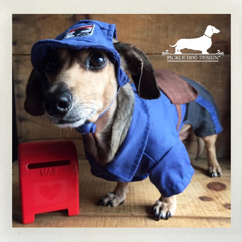 May include: A dachshund dog dressed in a blue postal worker uniform, complete with a matching hat and jacket. The dog is standing next to a small red mailbox with a heart design. The image has a rustic, wooden background.