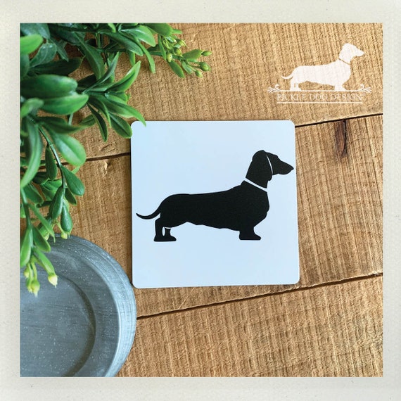 Square Doxie. Magnet