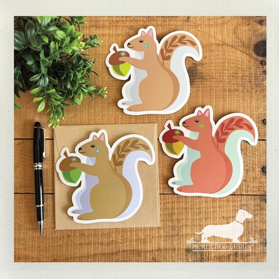DISCOUNTED! Squirrel. Flat Cards (Set of 3)