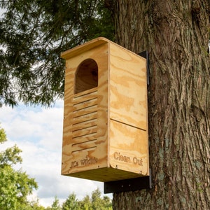 JCS Wildlife Barred Owl Nesting Box - Exterior Grade Treated Plywood - An Owl Box Perfect for Barred Owls