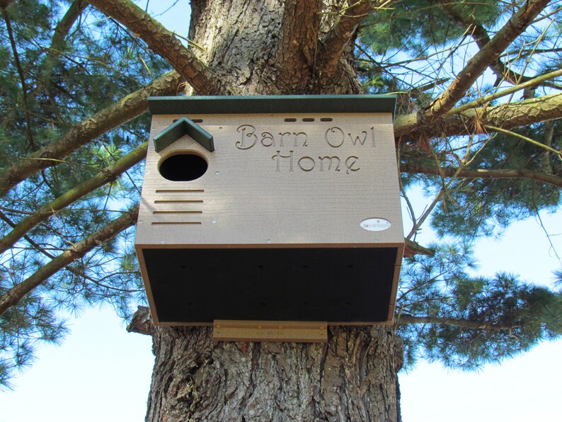 Barn Owl Poly Nest Box Large House | Etsy