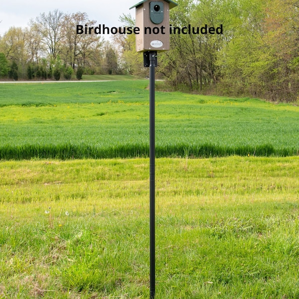 Bird Houses for the Outdoors - Etsy