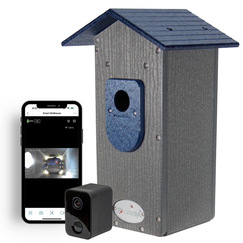 Bird House With Camera Etsy Bird house with camera etsy