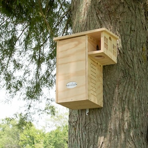 JCS Wildlife Plywood Squirrel House Nesting Box
