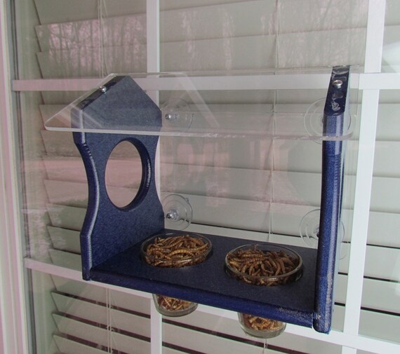 Jcs Wildlife Bluebird Window Meal Worms Diner Recycled Poly Etsy