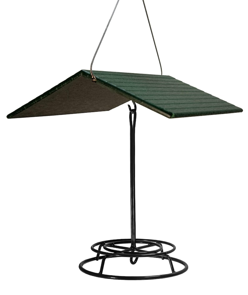 May include: A black metal bird feeder with a green plastic roof. The feeder has a round base and a hanging loop.