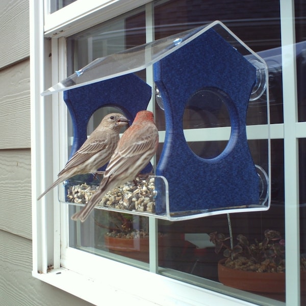 Window Bird Feeder: Recycled Poly Lumber, 3-Cup Capacity