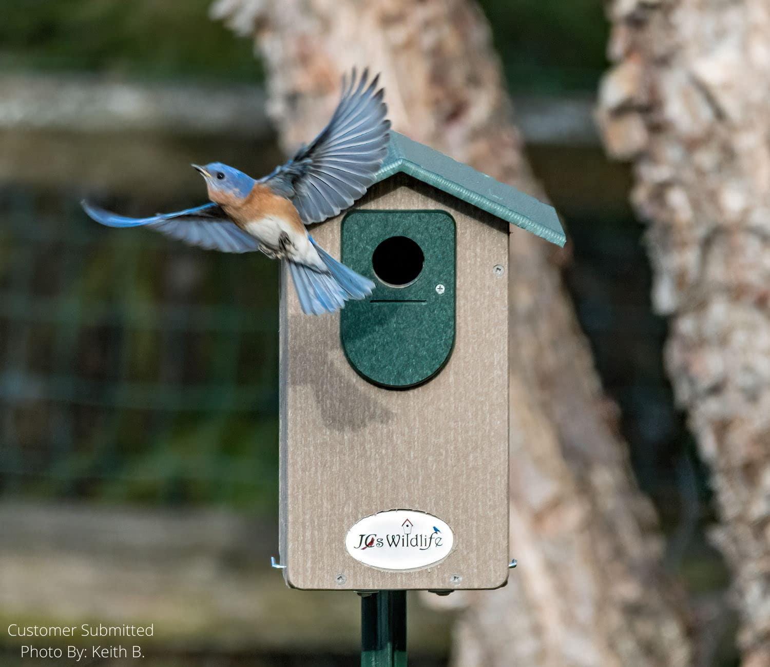 JCS Wildlife Ultimate Bluebird House With Poly Lumber Roof - Easy