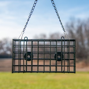 May include: A black metal bird feeder cage with two circular openings hangs from a chain against a blurred background of green grass and a blue sky.