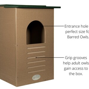 May include: A tan-colored owl house with a green roof. The entrance is an arched opening. Horizontal grooves are below the entrance. The text says the entrance is the perfect size for Barred Owls and grip grooves help owls gain access.