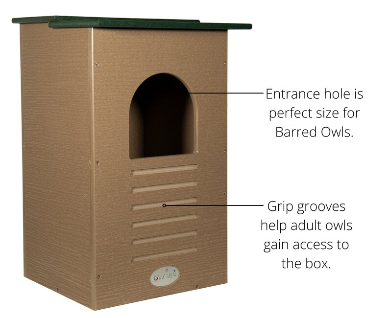 May include: A tan-colored owl house with a green roof. The entrance is an arched opening. Horizontal grooves are below the entrance. The text says the entrance is the perfect size for Barred Owls and grip grooves help owls gain access.