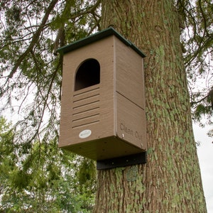 May include: A brown birdhouse with a green roof is mounted on a tree trunk. The birdhouse has an arched opening and horizontal ventilation slots. The words "Clean Out" are printed on the side.