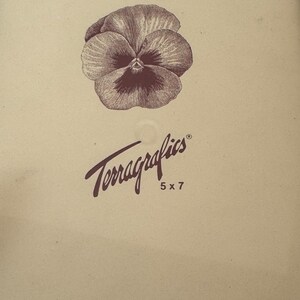 May include: A cream-coloured rectangular insert for a picture frame featuring a dark brown illustration of a pansy flower at the top. Below the flower, the text Terragrafics is printed in a script font, followed by the dimensions 5 x 7 inches.