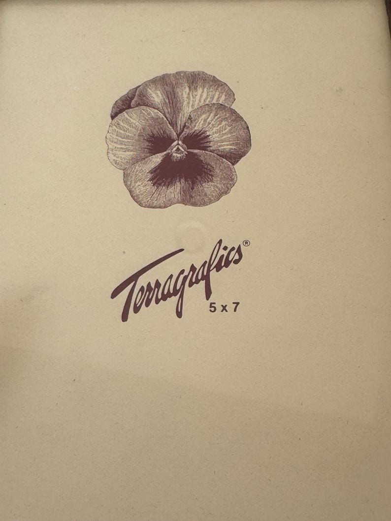 May include: A cream-coloured rectangular insert for a picture frame featuring a dark brown illustration of a pansy flower at the top. Below the flower, the text Terragrafics is printed in a script font, followed by the dimensions 5 x 7 inches.