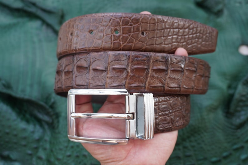 Peut inclure: Une ceinture en cuir marron avec une texture de peau de crocodile. La ceinture est enroul&eacute;e, montrant le motif et la texture d&eacute;taill&eacute;s. Elle a une boucle de couleur argent.