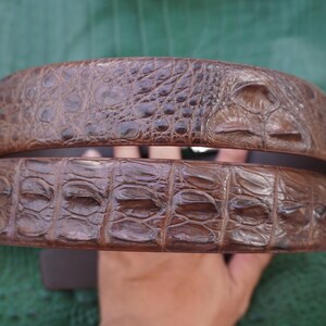 Peut inclure: Deux ceintures en cuir marron avec une texture de peau de crocodile. Les ceintures sont empil&eacute;es, mettant en valeur le motif d&eacute;taill&eacute; et les variations de couleur. Les ceintures sont d'un brun riche.
