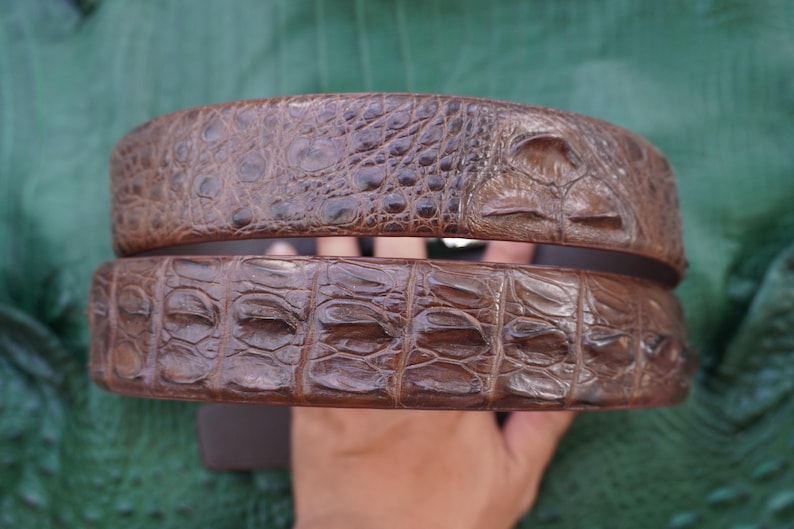 Peut inclure: Deux ceintures en cuir marron avec une texture de peau de crocodile. Les ceintures sont empil&eacute;es, mettant en valeur le motif d&eacute;taill&eacute; et les variations de couleur. Les ceintures sont d'un brun riche.