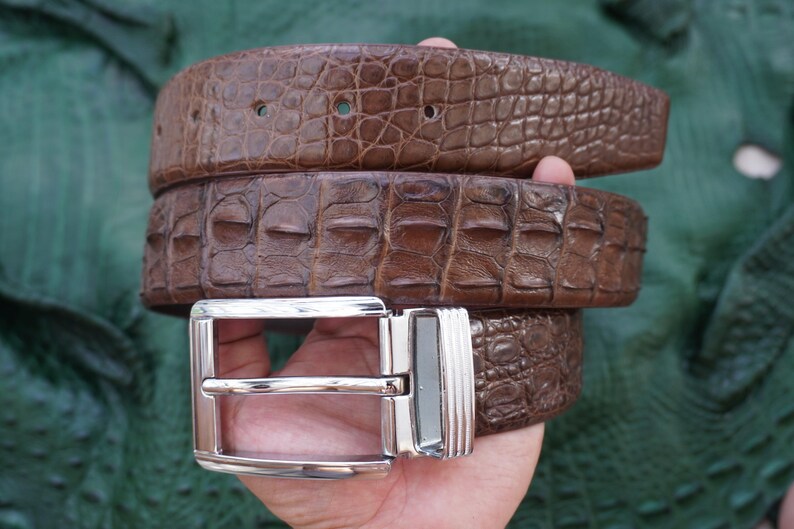 Peut inclure: Une ceinture en cuir marron avec un motif de crocodile textur&eacute;. La ceinture a une boucle argent&eacute;e. La ceinture est enroul&eacute;e, montrant la texture et la couleur du cuir. Accessoire de mode.