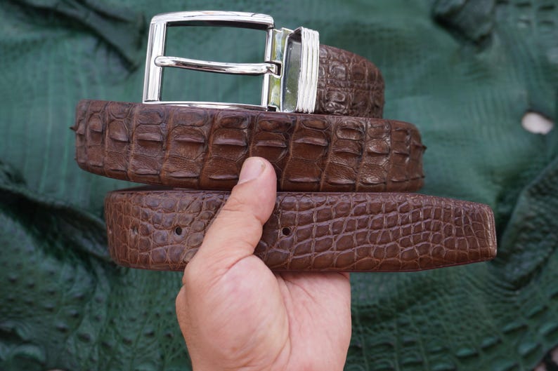 Peut inclure: Une ceinture en cuir marron avec un motif de crocodile textur&eacute; et une boucle argent&eacute;e. La ceinture est tenue par une main. L'arri&egrave;re-plan est une surface verte textur&eacute;e. Les mesures de la ceinture sont en centim&egrave;tres.