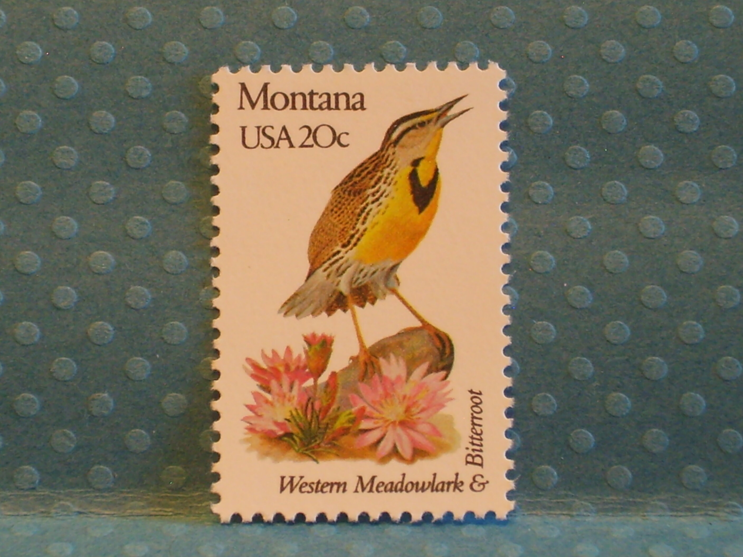 ヴィンテージ切手5枚 - モンタナ州の州鳥と花 - No. 1978 - Etsy 日本