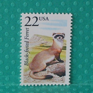 May include: A 22 cent USA postage stamp featuring a black-footed ferret, a small mammal with brown fur and a white face, sitting on a rock.