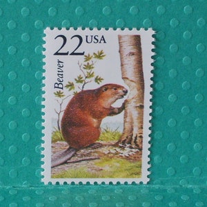 May include: A postage stamp featuring a brown beaver leaning against a tree trunk. The stamp has the text "22 USA" and the word "Beaver". The background shows green grass and leaves.