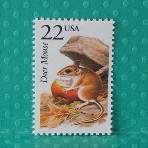 May include: A postage stamp featuring a deer mouse eating an apple. The stamp has a white border with a serrated edge. The text "22 USA" and "Deer Mouse" are printed on the stamp.