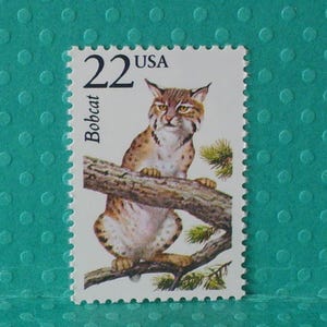 May include: A vintage 22-cent USA postage stamp featuring a detailed illustration of a bobcat perched on a tree branch. The stamp has a white border with a scalloped edge and the word "Bobcat" printed vertically.