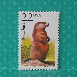 May include: A postage stamp featuring a brown woodchuck standing upright. The stamp reads "22 USA" at the top and "Woodchuck" on the left side. The woodchuck is depicted in front of grass and a yellow flower.