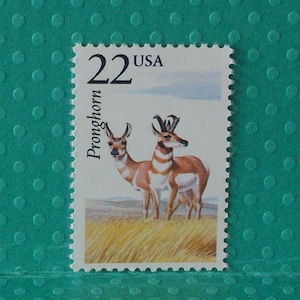 May include: A 22 cent USA postage stamp featuring a pair of pronghorn antelope in a grassy field. The stamp is a light blue color with white text and a white border.