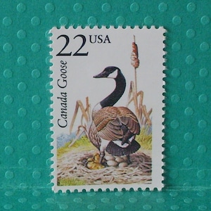 May include: A postage stamp featuring a Canada Goose with its nest and eggs. The stamp has a face value of 22 cents and the text "USA" is printed at the top. The words "Canada Goose" are printed vertically on the left side of the stamp.