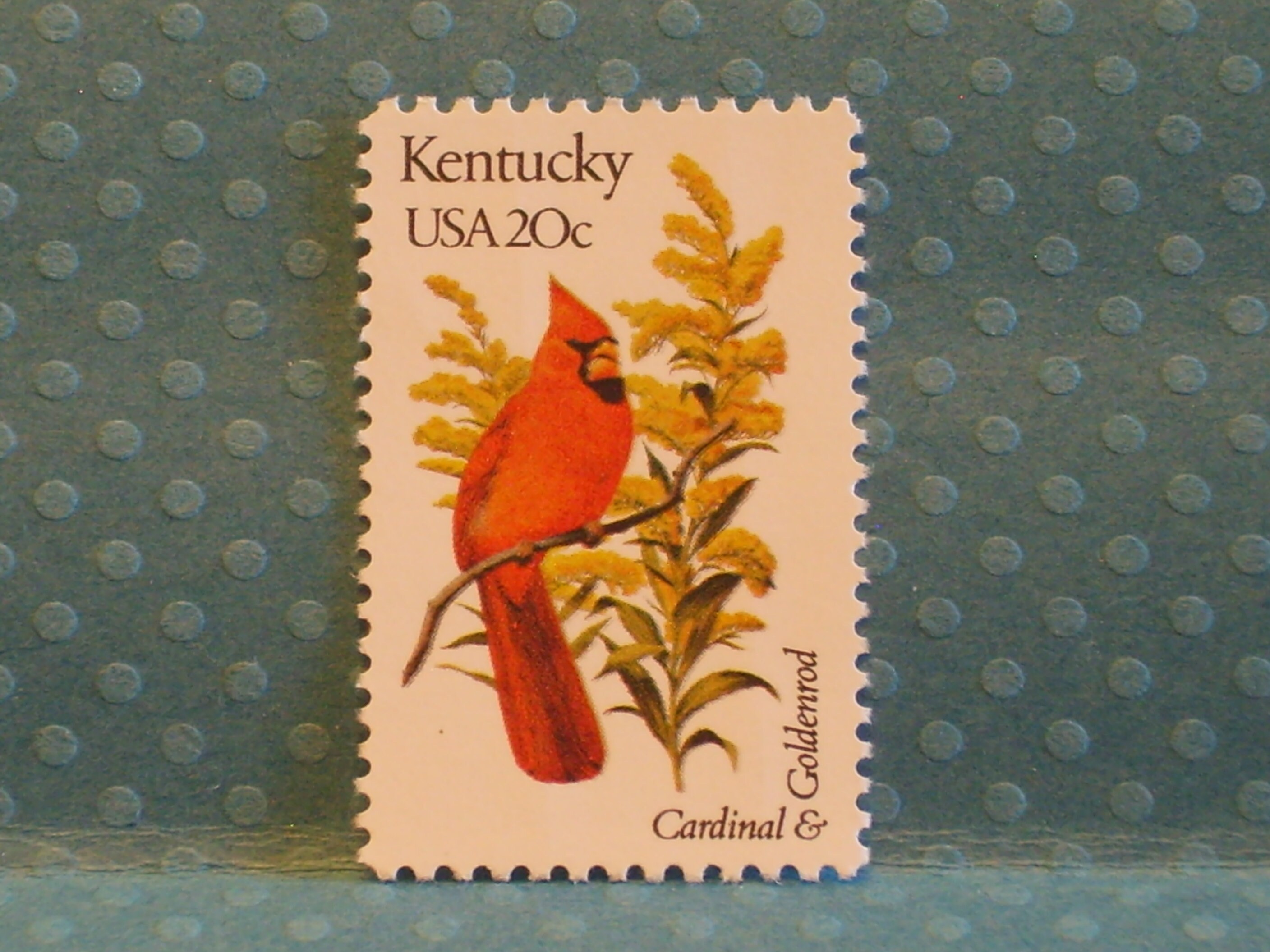アメリカ合衆国の切手　state birds and flower 1953-2002 - 1982 20c State Birds & Flowers - Mystic Stamp Company