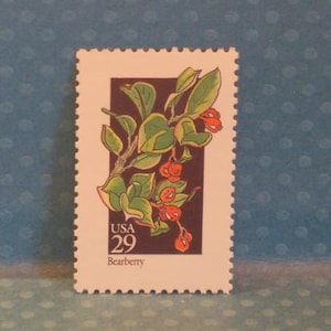 Puede incluir: Un sello postal con una ilustración botánica de una planta de gayuba con hojas verdes y bayas rojas. El sello tiene un borde blanco con un borde dentado y el texto "USA 29 Bearberry".
