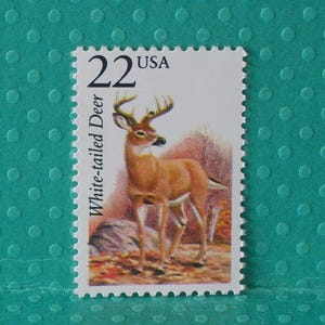 May include: A vintage postage stamp featuring a white-tailed deer with large antlers, set against a backdrop of autumn foliage. The stamp is marked "22 USA" and "White-tailed Deer". The stamp has a white border with a scalloped edge.
