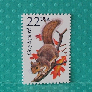 May include: A postage stamp featuring a gray squirrel perched on a branch with autumn leaves. The stamp reads "22 USA" and "Gray Squirrel". The squirrel is brown and gray with a bushy tail.