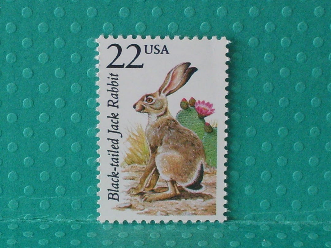 5 Vintage North American Wildlife Stamps - the Black-tailed Jack Rabbit ...