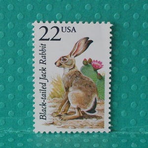 May include: A postage stamp featuring a Black-tailed Jack Rabbit, with the text "22 USA". The stamp depicts the rabbit in a desert landscape with a cactus and a pink flower. The stamp is rectangular with a white border.