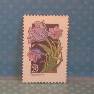 Puede incluir: Un sello postal con una ilustración floral de una flor de Pascua. El sello tiene un borde blanco con un borde festoneado. Las flores están representadas en tonos de morado y rosa, con tallos y hojas verdes. El sello dice "USA 29 Pasqueflower".