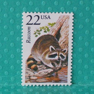 May include: A vintage postage stamp featuring a raccoon. The stamp has a white border with a serrated edge. The raccoon is depicted in shades of brown, gray, and black, with a striped tail. The stamp reads "22 USA" and "Raccoon".