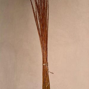 May include: A bundle of dried, slender, brown branches tied together with twine. The branches are arranged vertically, with a slight curve. The base of the bundle is set in a decorative, dark-colored vase. The background is a solid, neutral color.