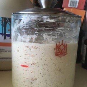 May include: A glass jar with a lid filled with a white, bubbly mixture. The jar has markings on the side indicating measurements in cups. The mixture appears to be sourdough starter.