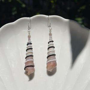May include: A pair of drop earrings featuring natural spiral seashells wrapped in alternating rows of small white and black beads. The shells are suspended from silver-toned metal hooks, each accented with a single small white bead at the top.