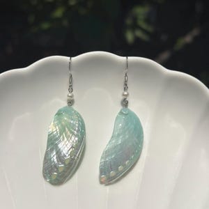 May include: A pair of dangle earrings featuring iridescent, light green abalone shell segments suspended from silver-toned metal hooks. Each earring is accented with a single small white pearl bead positioned just above the shell component.