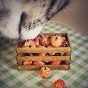 Miniature Apples