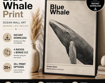Stampa artistica da parete con balena blu, decorazione minimalista a tema marino e costiero (download digitale)