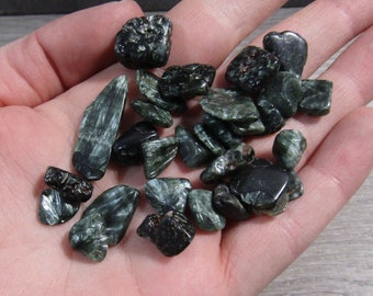 Serpahinite Small Bag of Tiny Tumbled Chips 0.8 ounce +