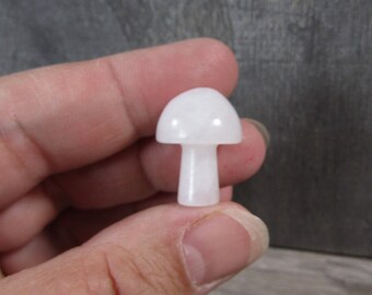 Snow Quartz Small Fairy Mushroom F234